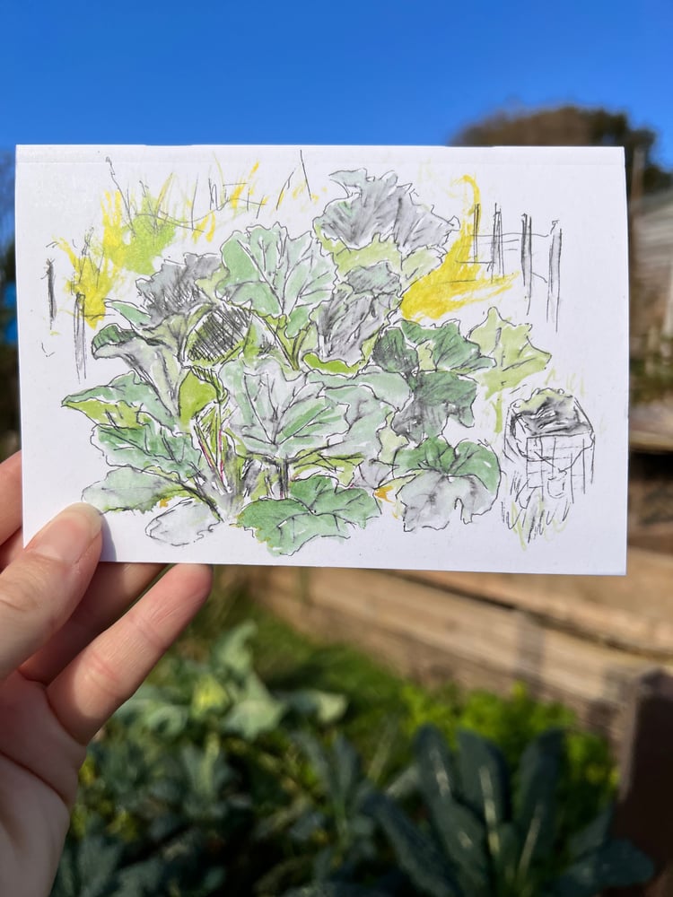 Image of Allotment Notebook Set of 5