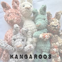 Image 1 of Kin the Kangaroo