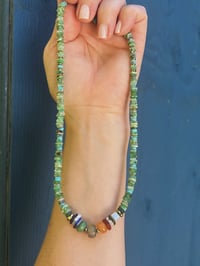 Image 1 of *new* CHRYSOPRASE RAINBOW SHORTY