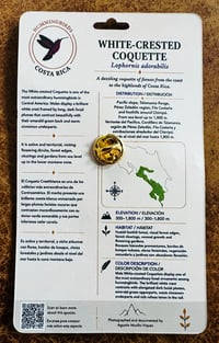 Image 2 of Hummingbirds of Costa Rica Pin Badges