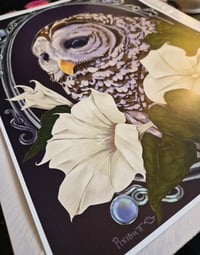 Image 3 of 11X14 Barred Owl W/ Moonflowers  Large Print