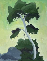 Image 3 of Neighbor Tree