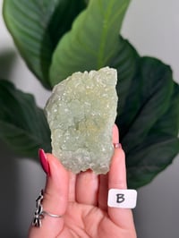Image 2 of CHOOSE YOUR OWN BOWTIE PREHNITE -INDIA-