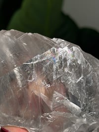 Image 13 of RAINBOW FILLED LA PLATOSA SELENITE -MEXICO- B