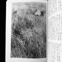 Image 18 of BARAZOKU 1975 #9