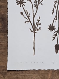 Image 3 of Matricaria • Linocut paper print