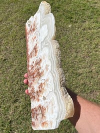 Image 6 of White Aragonite Polished Slab #2125