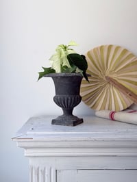 Image 5 of Vase Médicis en fonte