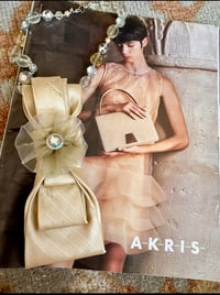 Image 1 of Chiffon Chic