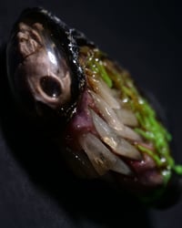 Image 24 of Xenomorph Skull Slim Zippo Lighter/Bleeding Drone/glow in the dark