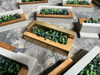 Image 2 of PLAZA PLANTER - V2 GOLD