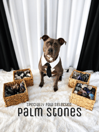Image 1 of Palm Stones - The Pitbull Picks 