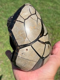 Image 6 of Septarian Nodule Polished Freeform | Madagascar #2897