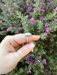 Image 3 of The White Lily Ring (7.5)