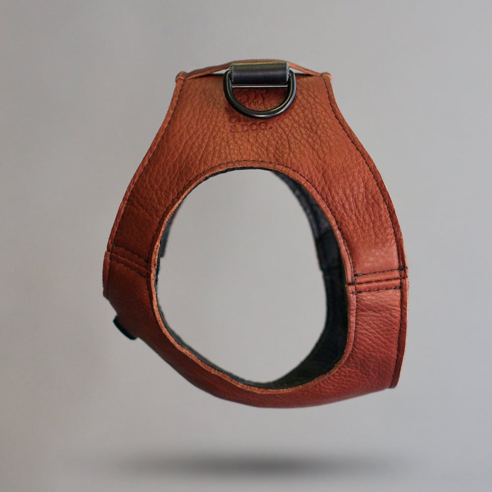 Image of Cognac Harness