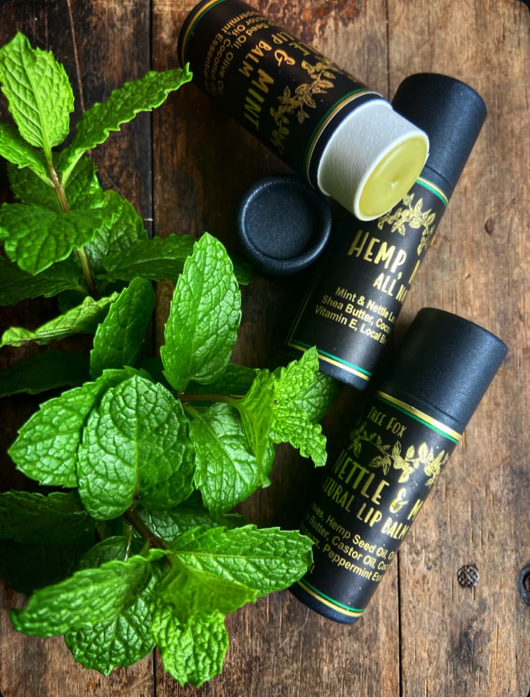 Image of Hemp, Nettle & Mint Lip Balm
