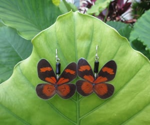 Image of Black and Orange Full Butterfly Wing Earrings - Joyas de Mariposas