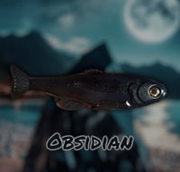 Image 1 of Roma Trout - OBSIDIAN