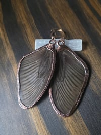 Image 2 of Butterfly Wing Earrings (black)