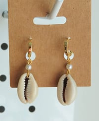 Cowrie Shell Earrings