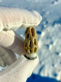 Morel Mushroom Pendant #2