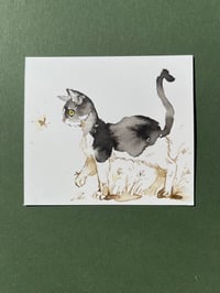 Image 1 of Kitty Cat - Study D