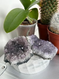 Druzy Amethyst B grade Clusters