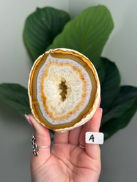 Image 1 of CARNELIAN AGATE GEODE -MADAGASCAR-