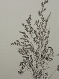 Image 4 of Bouquet 01 - A4 - Original Botanical Monoprint