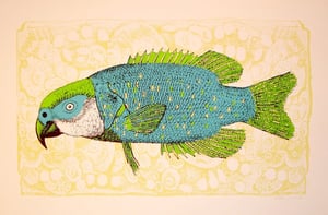 Image of Parrot Fish by Nate Duval