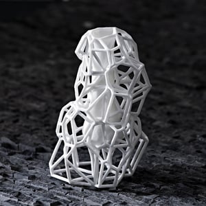 Image of Voronoi Vase