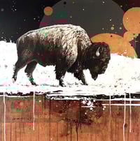 Image 1 of ORIGINAL - Space Walk