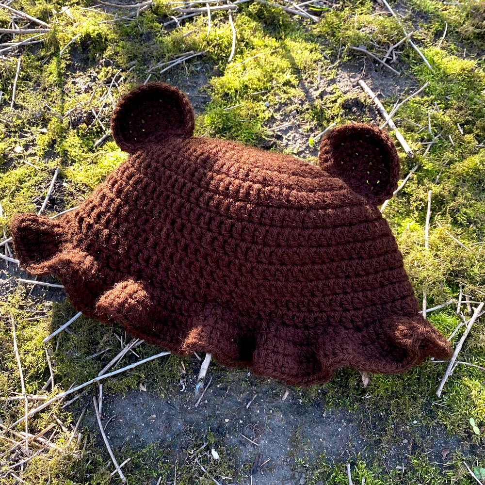 Image of bear hat