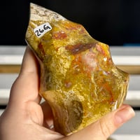 Image 2 of Ocean Jasper Flame (26G)