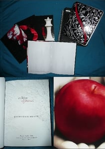 Image of Twilight Saga Journals