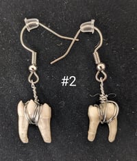 Image 2 of Assorted Small Animal Teeth Earrings