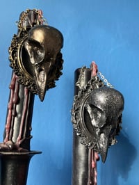 Image 5 of Resin Bird Skull Frames