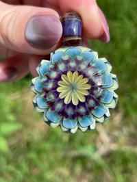 Image 4 of Mountain Daisies