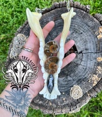 Image 4 of Wolf Jawbone Statement Necklace with Ammonite & Orthoceras Fossils