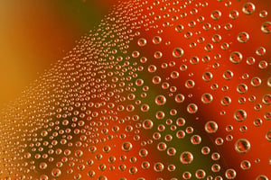Image of Condensation