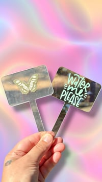 Image 2 of Plant Stakes