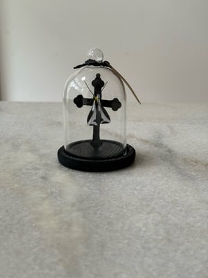 Image of Crucifix moth and crucifix faux entomology