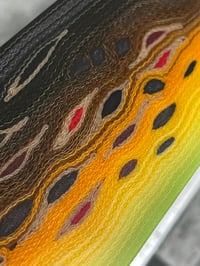 Image 2 of Brown Trout by Mikie