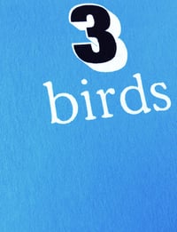 Image 3 of 3 Birds Screen Print Limited Edition