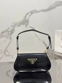 Image 2 of Prad bags - album 2 (click to browse)