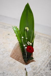Image 1 of Rosa de Sant Jordi - La diferent 