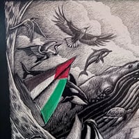 Image 2 of Sumud Flotilla