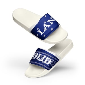 Image of Royal Paisley Slides 