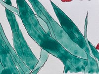 Image 4 of See Thru Magazine Drawing 