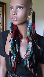Image of Big and  Long Feather Earrings